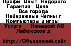 Профи. Опыт. Недорого. Гарантия › Цена ­ 100 - Все города, Набережные Челны г. Компьютеры и игры » Услуги   . Ненецкий АО,Лабожское д.